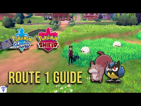 Video: Pok Mon Sword And Shield Route 1 - Beschikbare Pok Mon, Items En Trainers