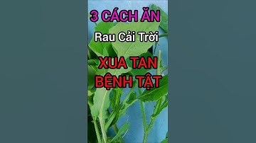 3 Cách Ăn Rau Cải Trời Xua Tan Bệnh Tật #dinhduong #health #suckhoe