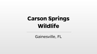 Carson Springs Wildlife Conservation - WUFT s Greater Good