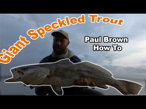 How to use Paul Brown Fat Boy for Giant Speckled Trout (gator sea trout -  aka not dinks). 