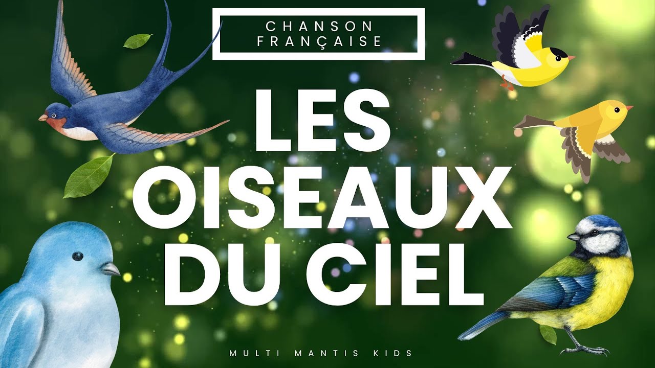 les-oiseaux-du-ciel-chanson-pour-enfants-des-oiseaux