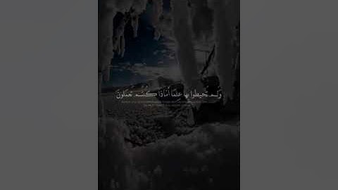 ﴿وَيَوْمَ نَحْشُرُ مِنْ كُلِّ أُمَّةٍ فَوْجًا﴾ | القارئ إسلام صبحي | حالات واتس اب Quran 🍃🌨💙