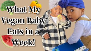 What My Vegan Baby Eats in a Week | Vlogmas Day 12 | YELLOOBERRY