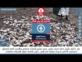 برنامج حديث اليوم من راديو دبنقا ليوم الخميس الموافق 29 يناير 2026م.