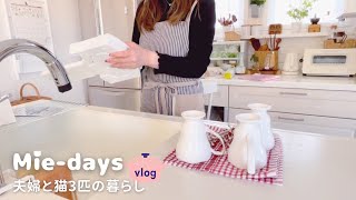 The daily life of a couple with three soothing cats, items found at IKEA, and their daily meals