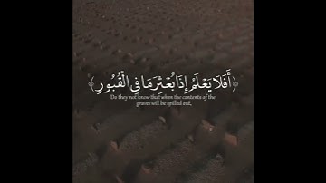 #القرآن_الكريم  #سورة العاديات