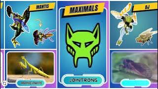 All Transformers Beast Wars II Alt Mode in Real Life #transformers #beastwars