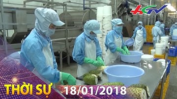 Những sản phẩm độc đáo từ trái mãng cầu | THỜI SỰ HẬU GIANG - 18/01/2018