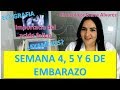 😍EMBARAZO SEMANA a SEMANA. PRIMER MES DE EMBARAZO, SEMANAS 4 A 7,  por  GINECOLOGA DIANA ALVAREZ