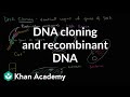 Mastering DNA Cloning Techniques and Applications