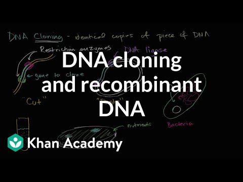 DNA cloning and recombinant DNA | Biomolecules | MCAT | Khan Academy