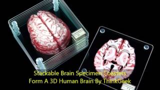 Stackable Brain Specimen Coasters Form A 3D Human Brain By ThinkGeek