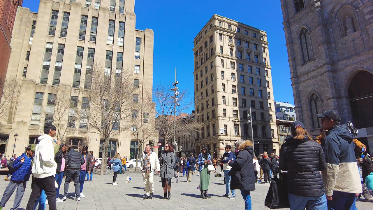 Sunny Walk from International District to Old Montreal (Notre-Dame Street) [4K] 