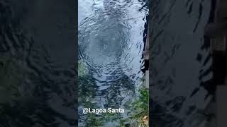 Lagoa Santa Go
