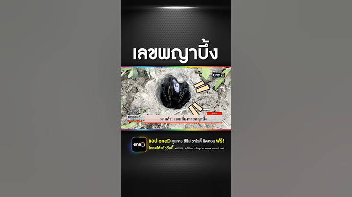 มาแล้ว เลขเสี่ยงทายพญาบึ้ง จ.อ่างทอง | ข่าวช่องวัน