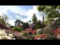 Рододендроны, азалии и камелии в Леонардцли | необычный альпинарий и лес цветов
