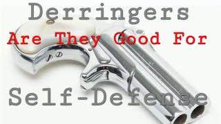 Derringers Are They Good for Self-Defense #pistol #shooting #rifle #ak47 #hunting #deer #wethepeople
