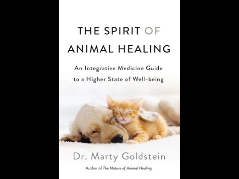 'The Spirit of