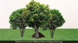 Difference Between Saving and Investing - A Snapshot