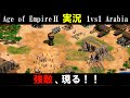 ［AOE2HD］強敵　現る！！［対人戦１ｖｓ１］