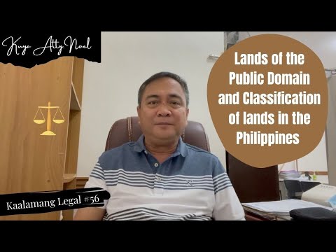 Video: Ano ang klasipikasyon ng domain?