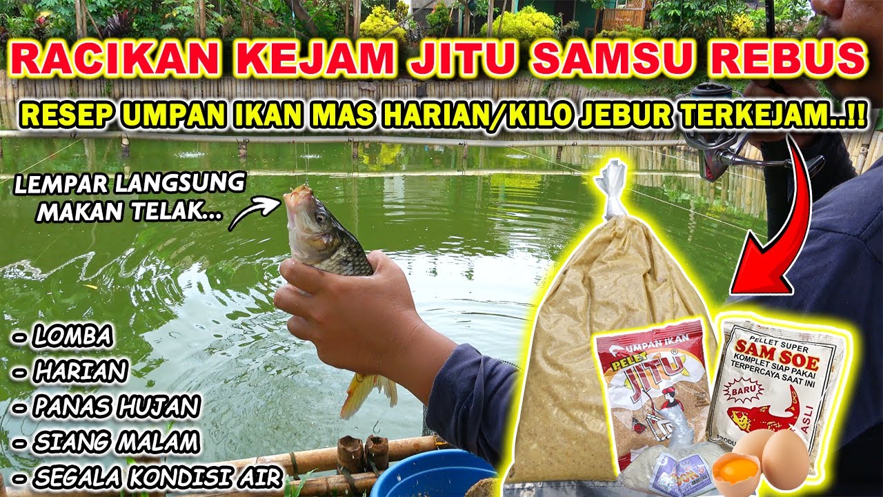 KEJAMNYA RESEP UMPAN KUKUS JITU SAMSU !!  NETER MENGGILA  PAKAI RESEP UMPAN IKAN MAS INI ❗❗