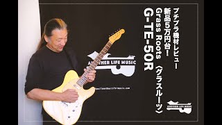 グラスルーツG-TE 50R