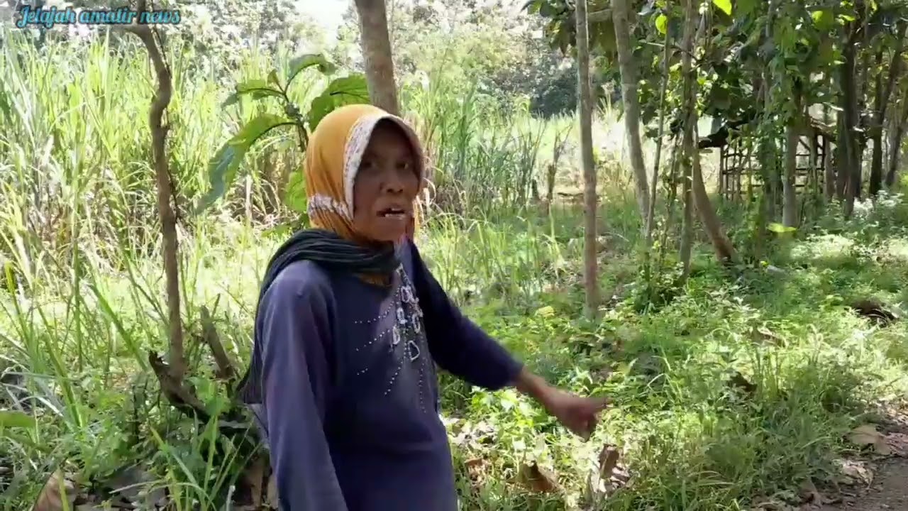 Kampung Puthuk Rejo, Margomulyo Panggung Rejo Blitar