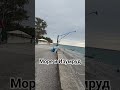 27.10.25 Абхазия. Гагра. Изумруд и море