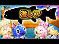 公式が認めた幻の魚を釣るまで終われません!【イトウ/釣り】【あつ森/AnimalCrossing】