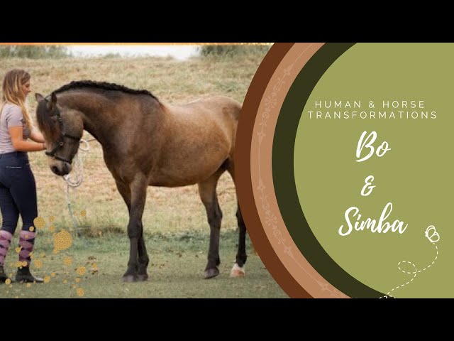 Transformation of Bo & Simba  | Human & Horse Academy