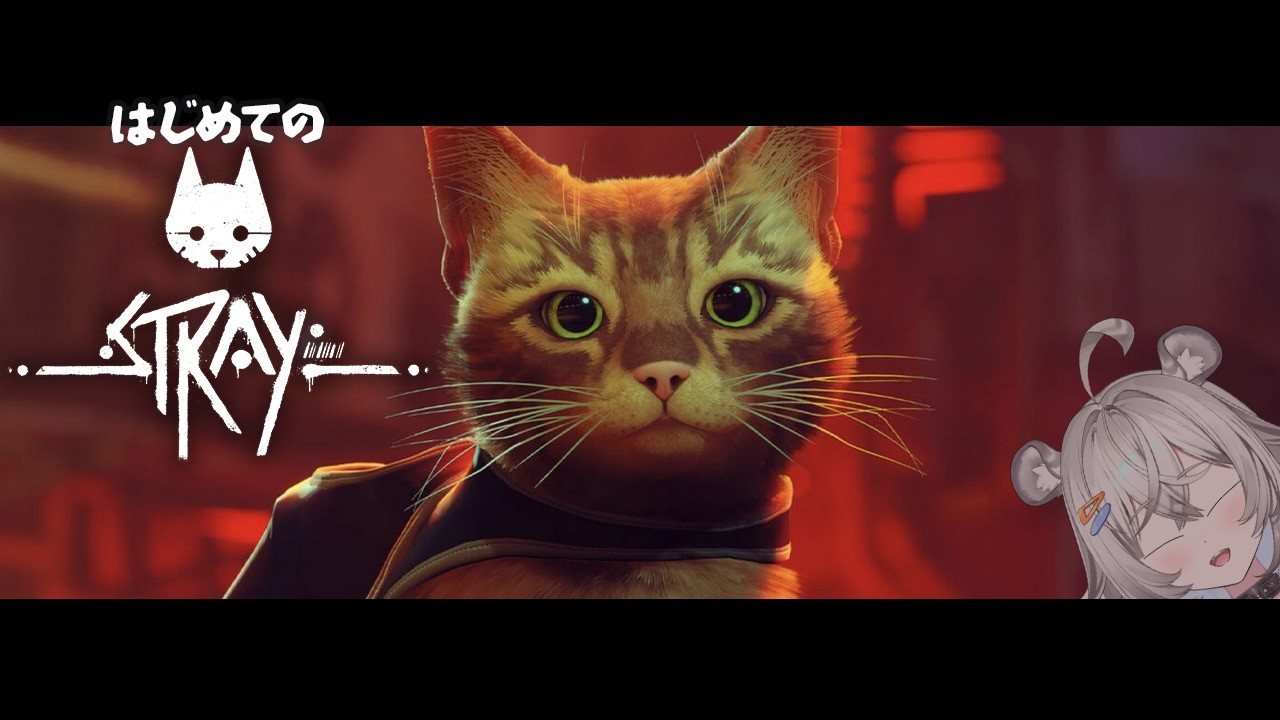 \Stray/ ぼここ猫になる \凸虎凹虎/#新人VTuber/