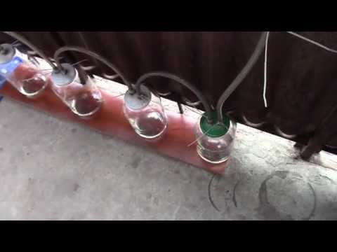 არყის გამოხდა