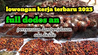 LOWONGAN KERJA PANEN DODOSAN TERBARU 2023 screenshot 3