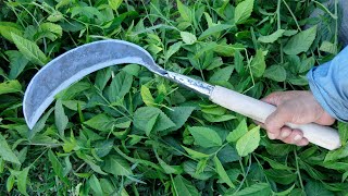 HOW TO MAKE A SICKLE INDONESIAN STYLE FROM SPRING STEEL ( HOMEMADE SICKLE )