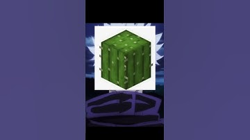 Cactus vs netherite ingot