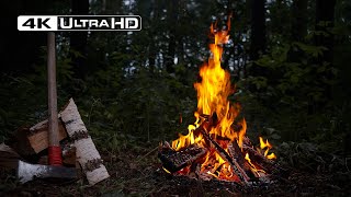Midnight Forest Fire 4K – 12H Crackling Campfire & Deep Night Nature Sounds