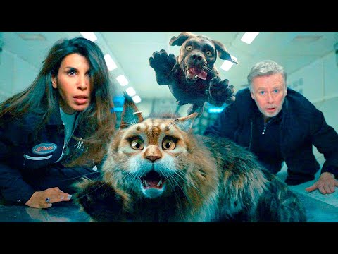 Perro y Gata (Trailer español)