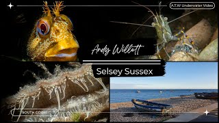 Selsey Beach, Uk, Underwater Video Of Scuba Dive. By Rnli Station.
