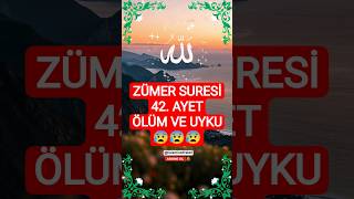 Zümer Suresi 42. Ayet Ölüm Ve Uyku Arasındaki İnce Çizgi