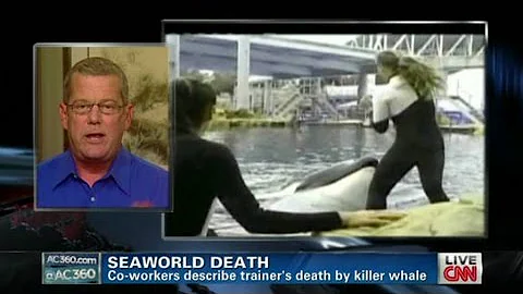 SeaWorld trainers describe death details