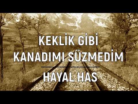 Keklik Gibi Kanadımı Süzmedim - Hayal Has