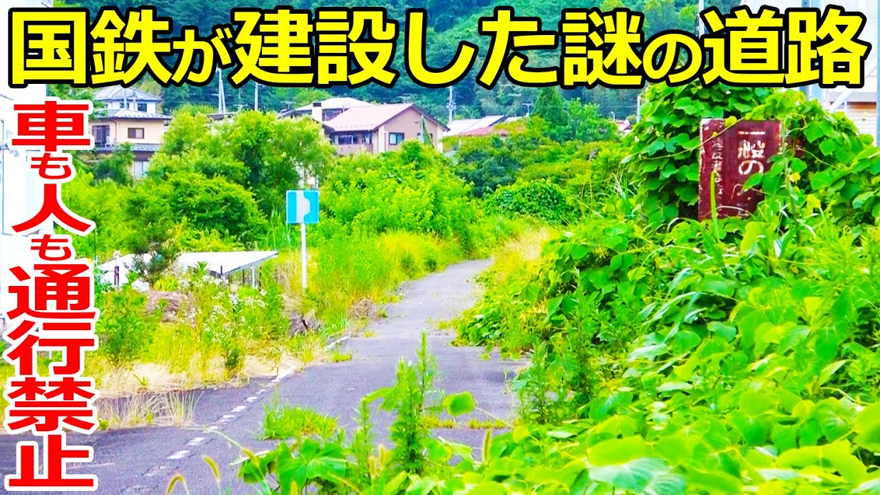 【廃線BRT】国鉄が作った謎の道路を探索しました。