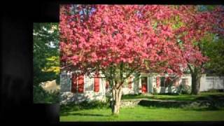 Luxury home for sale - Birdsong Farm - Stowe, VT