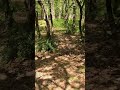 When u go for it and it pays off miserably!! #sport #discgolf #disc