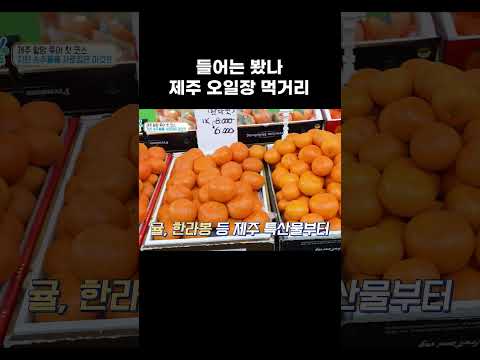 제주 여행 타이밍 딱 맞춘다면 이곳 #shorts