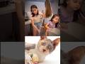 Funny Cat Video 😂😂😂#Shorts#Funkis #fails #memes