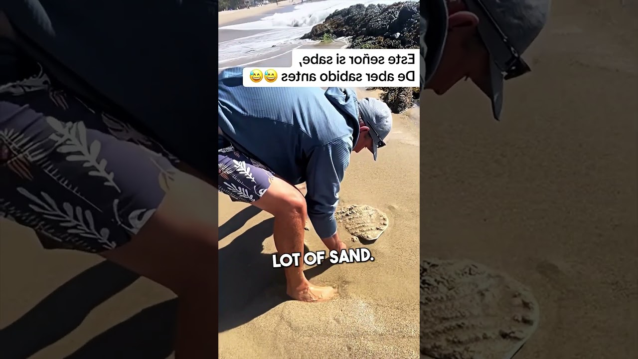 Terrifying Sand Crabs 😰