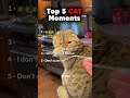 Ranking top 5 CAT MOMENTS 🗿🐈☠️