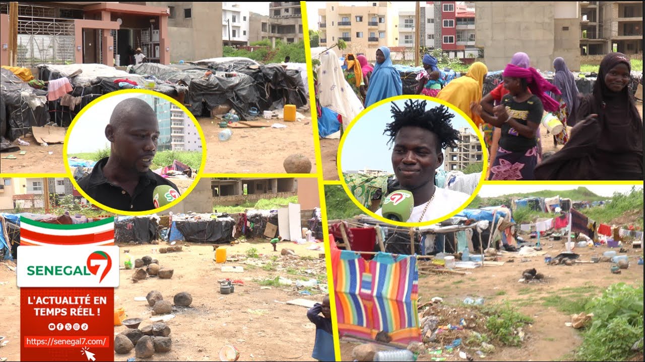 Chassés de Colobane : Les mendiants nigériens se réinstallent aux Mamelles